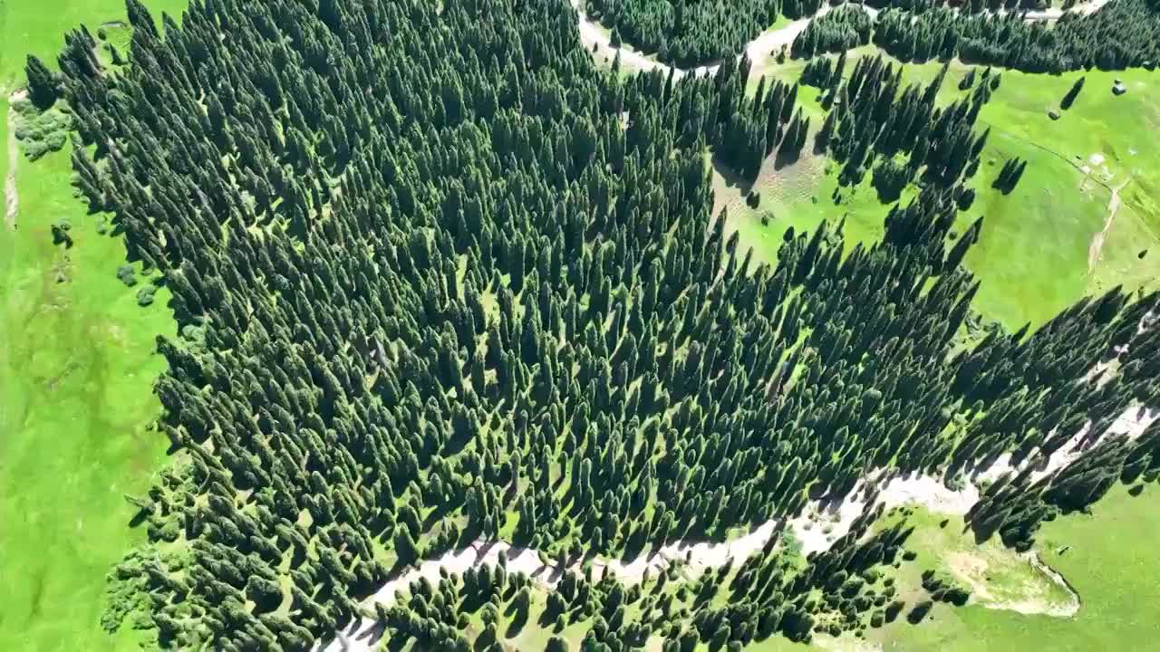 航拍新疆喀拉峻琼库什台村落的草原和森林视频素材