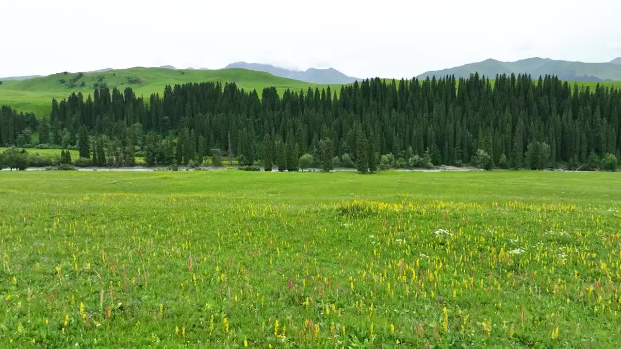 航拍新疆独库公路风景，百里山水画廊唐布拉草原视频素材