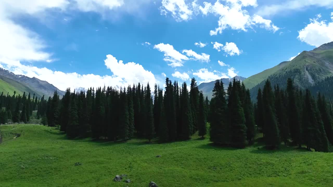 航拍新疆昭苏夏塔旅游景区，夏塔古道风景区视频素材