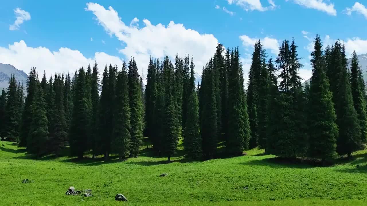 航拍新疆昭苏夏塔旅游景区，夏塔古道风景区视频素材