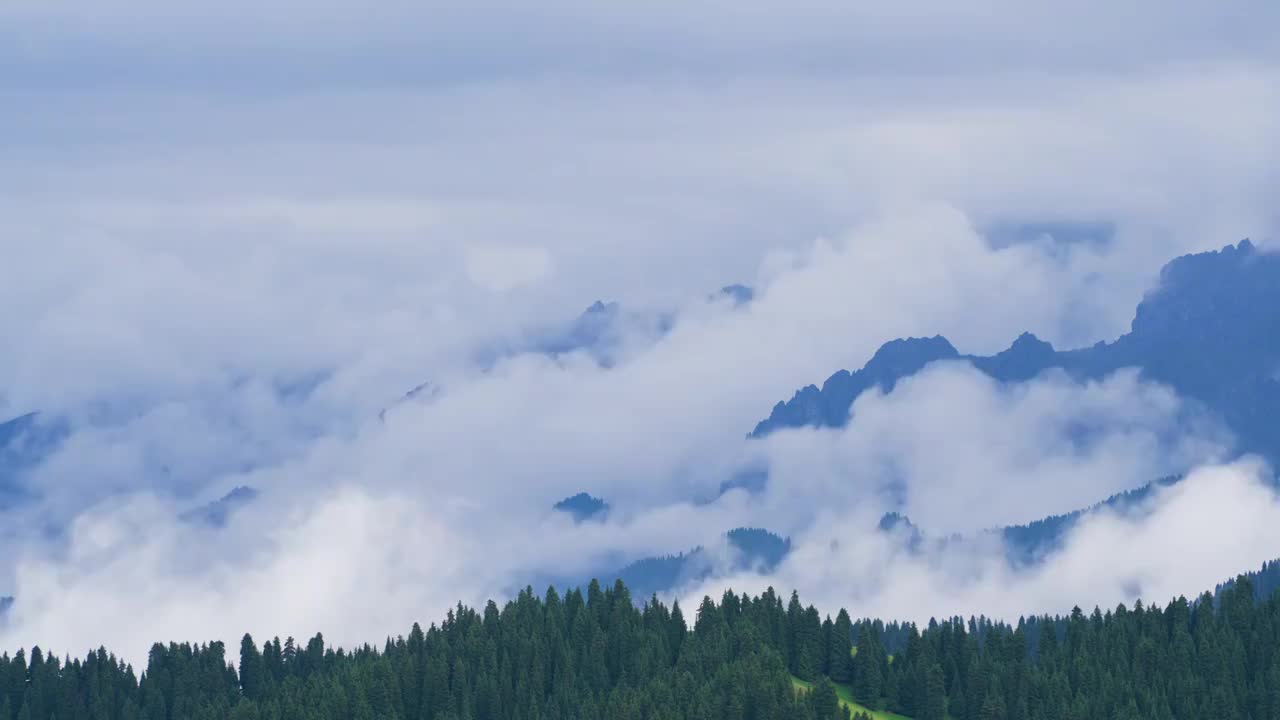 新疆昌吉地区江布拉克草原森林云雾延时摄影视频素材