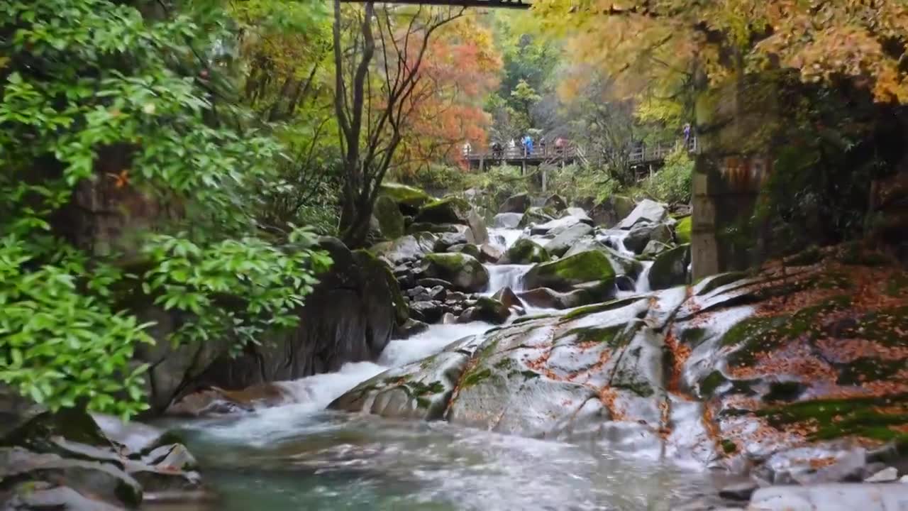 陕西黄柏源龙头山巴中光雾山视频素材画面1