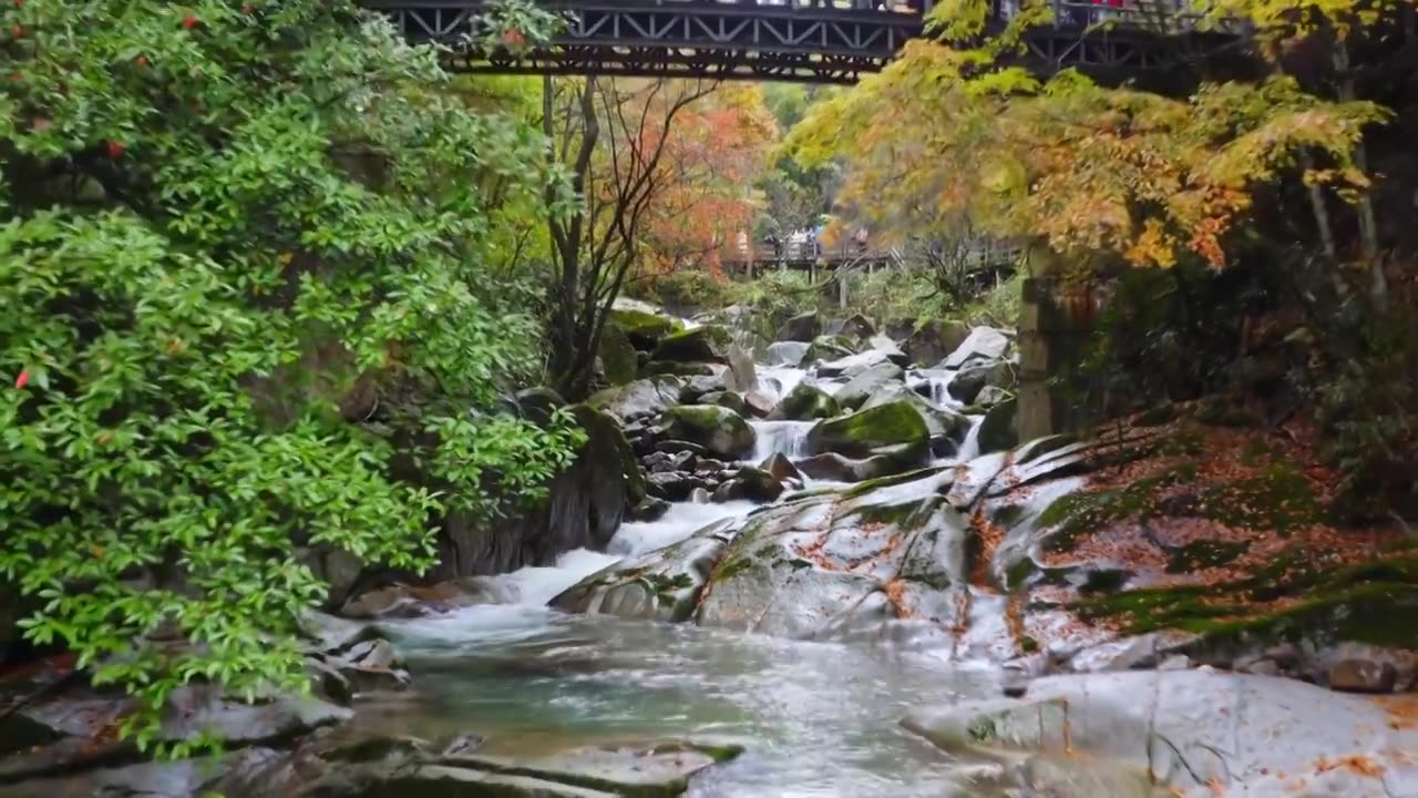 陕西黄柏源龙头山巴中光雾山视频素材画面2