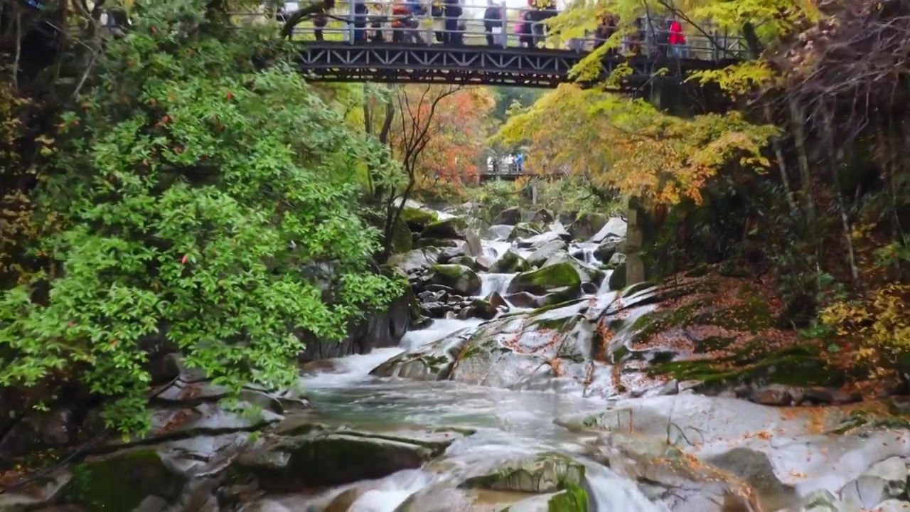 陕西黄柏源龙头山巴中光雾山视频素材画面3
