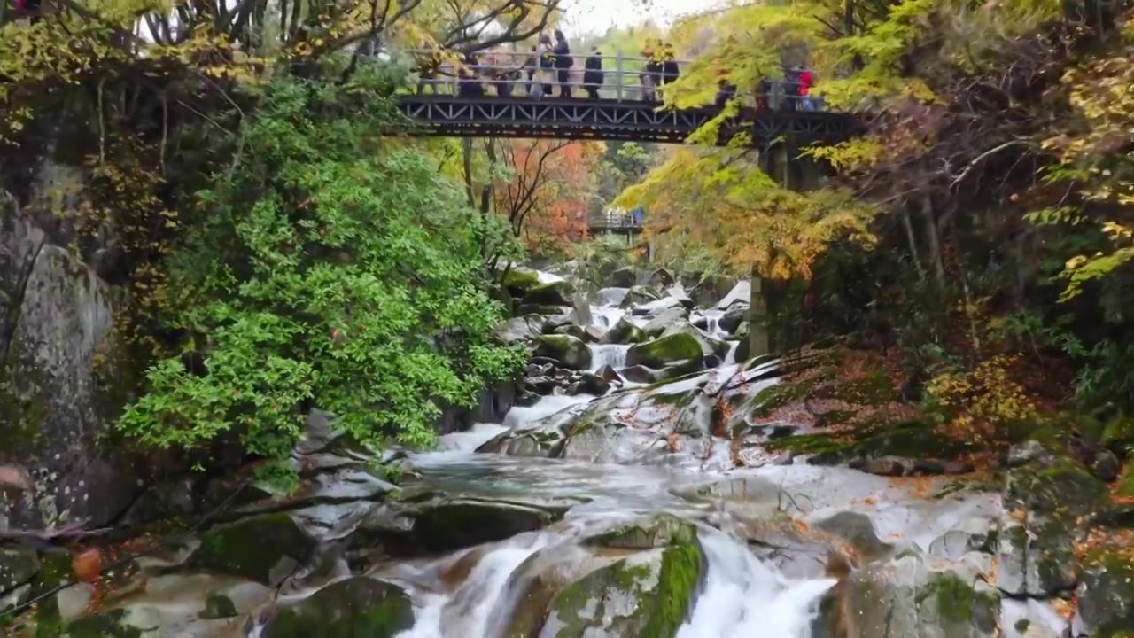陕西黄柏源龙头山巴中光雾山视频素材画面4