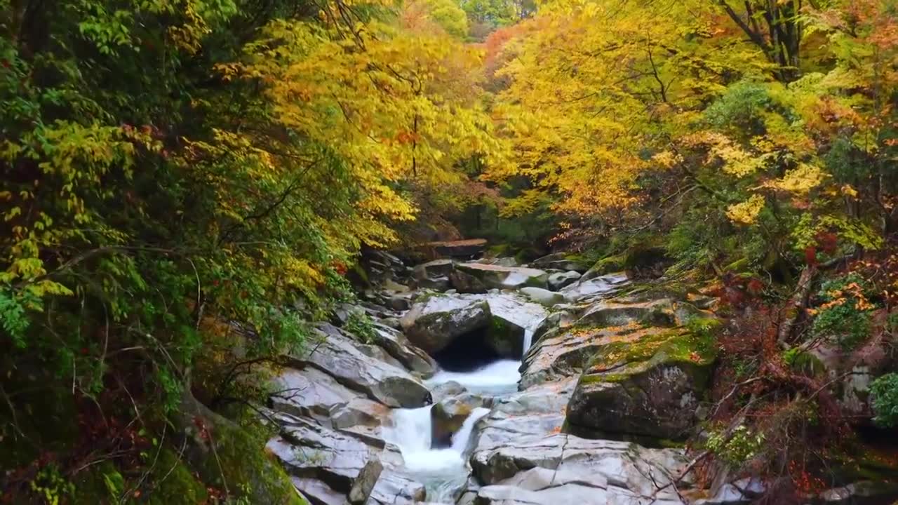 四川巴中光雾山秋景视频素材画面1