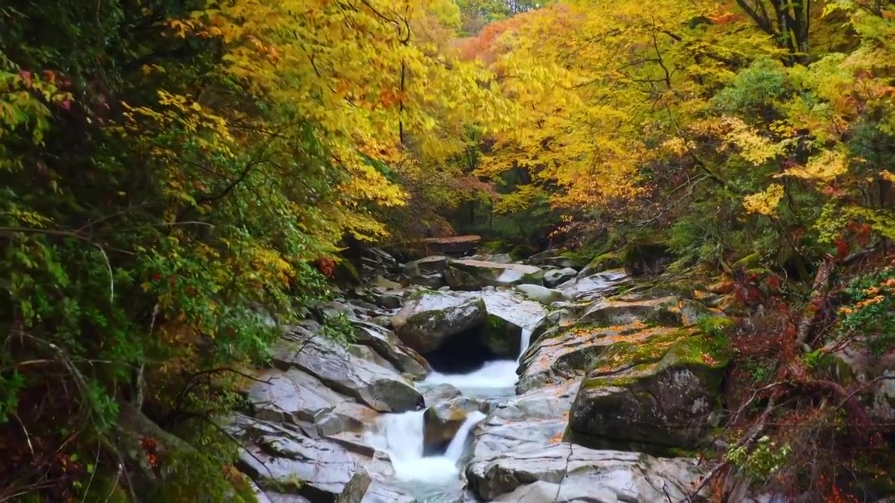 四川巴中光雾山秋景视频素材画面2