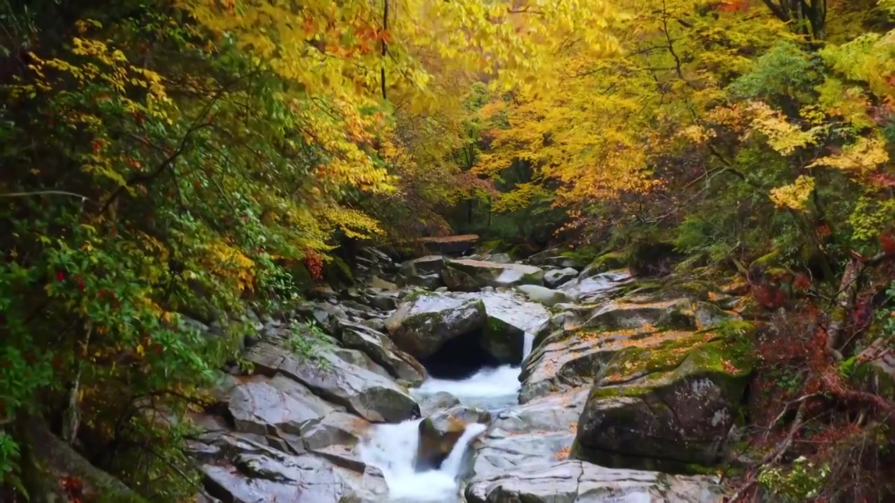 四川巴中光雾山秋景视频素材画面3