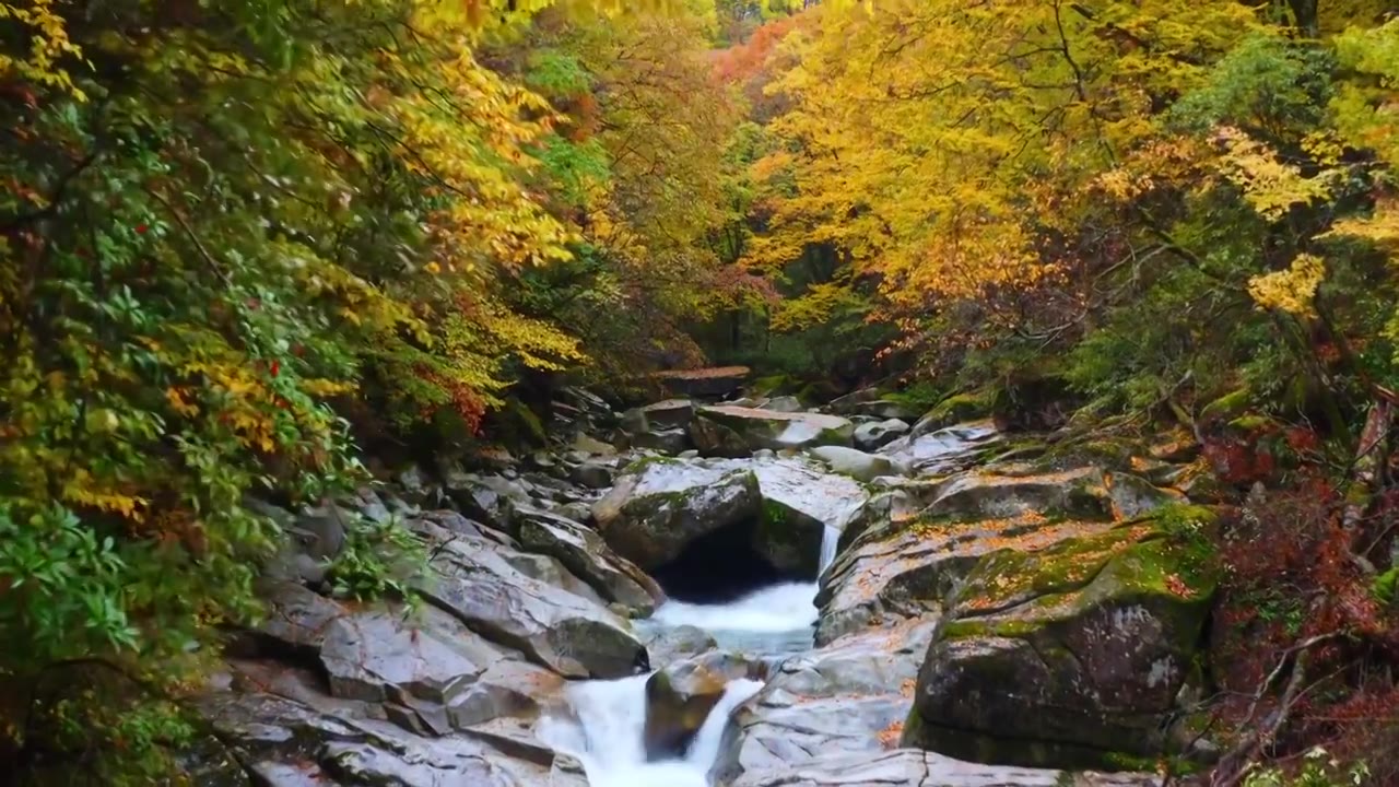 四川巴中光雾山秋景视频素材画面4