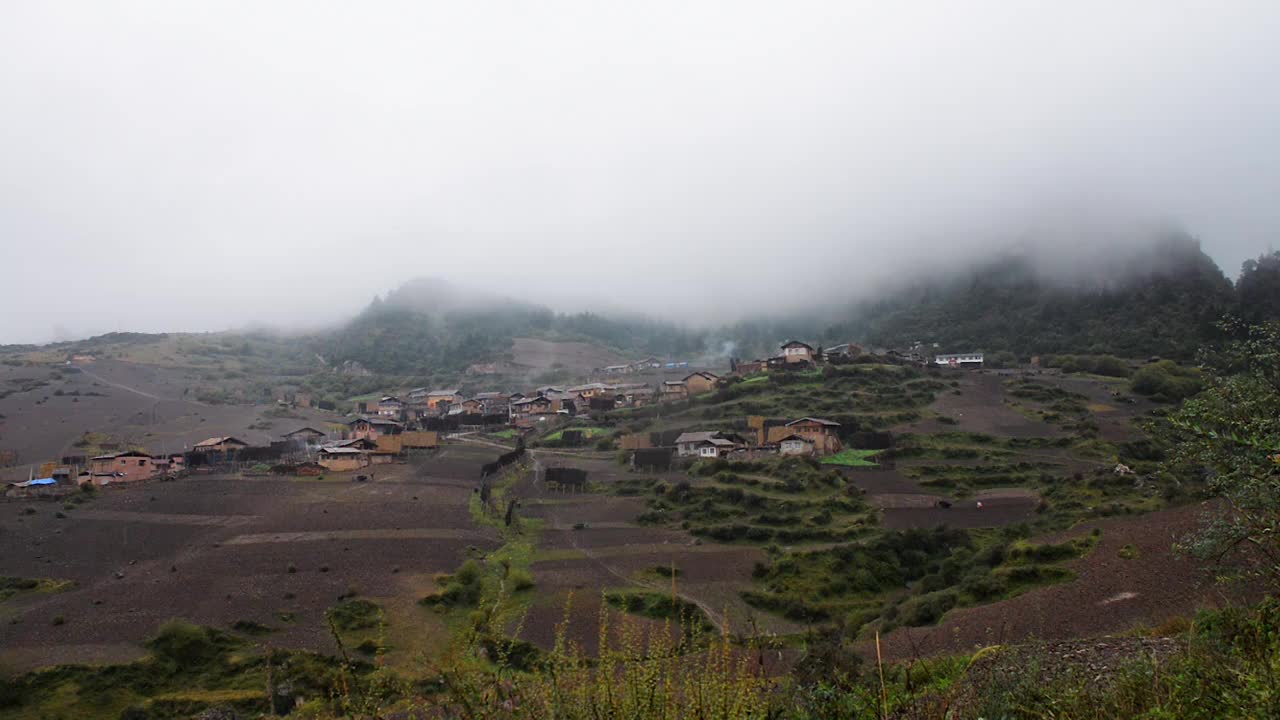 山间二牛抬杠犁地视频素材