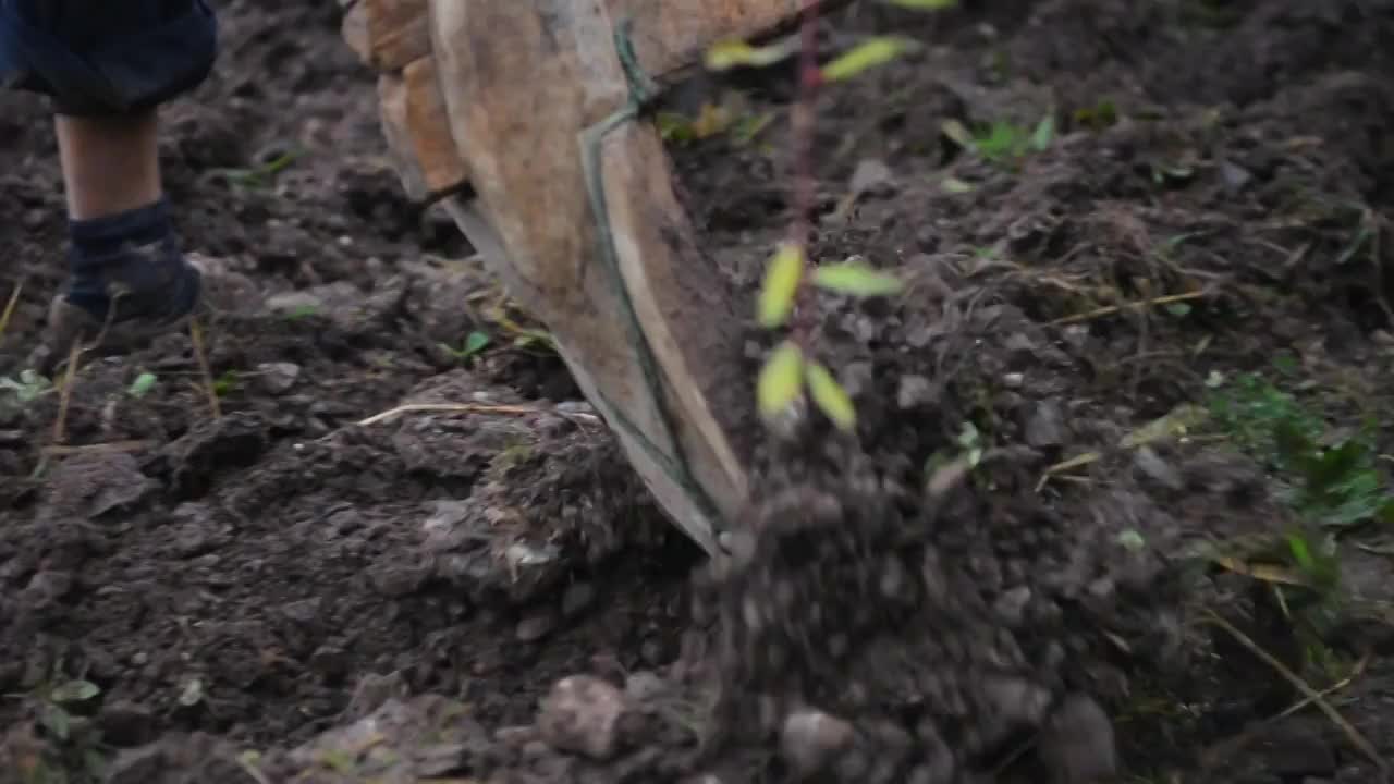 山间二牛抬杠犁地视频素材