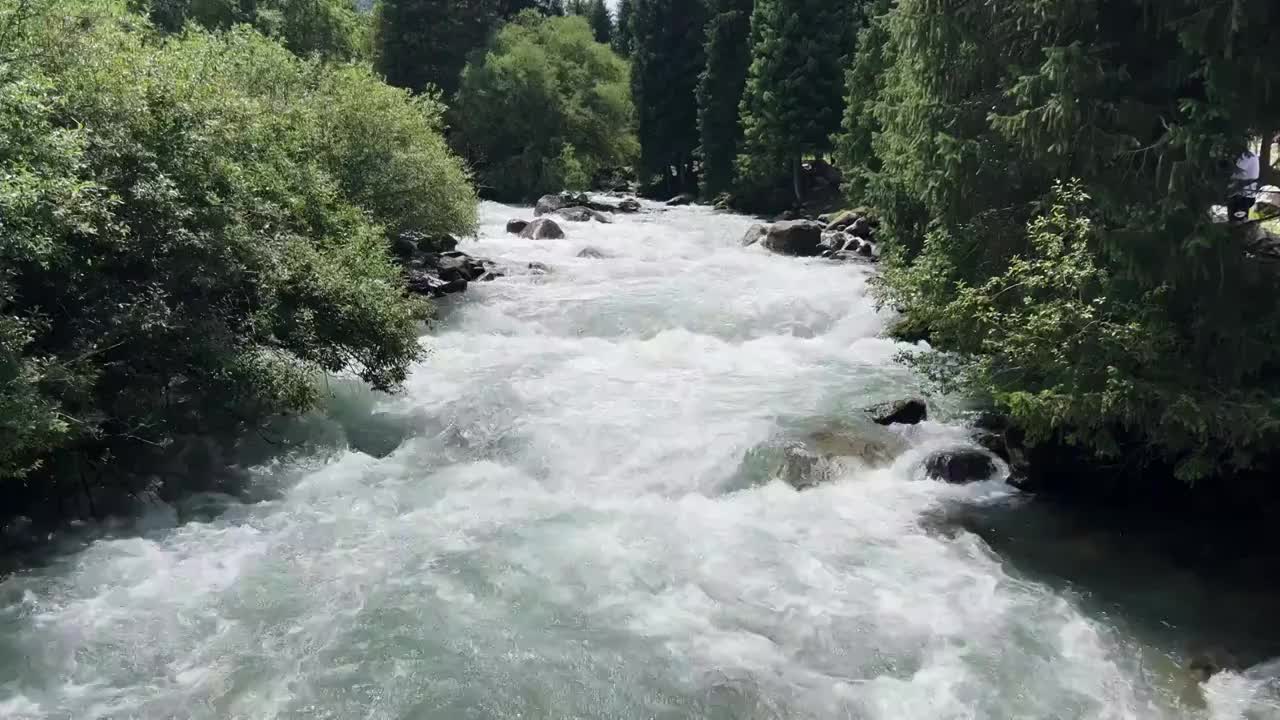 森林河流大自然风景视频素材