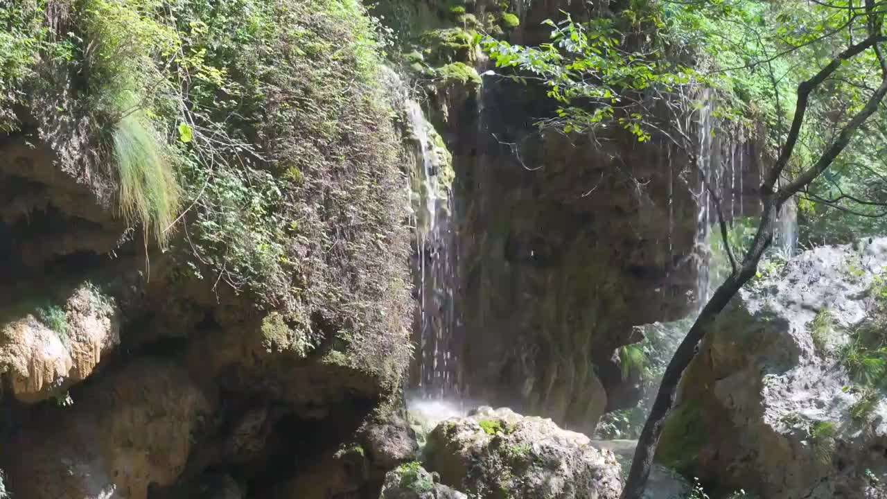 阳光山植物水流视频素材