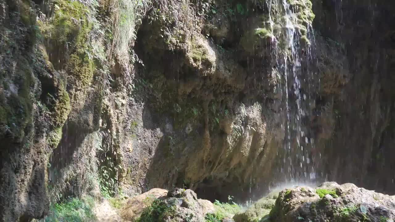 阳光山植物水流视频素材