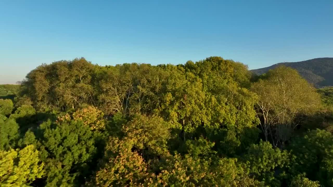 航拍日出时的南京美龄宫视频素材