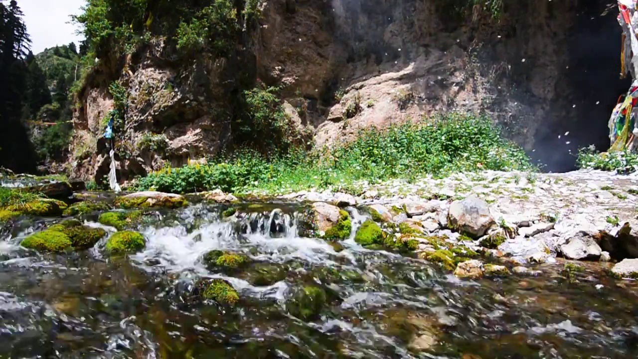 绿色小溪水流视频素材画面1