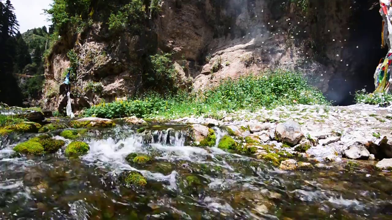 绿色小溪水流视频素材画面2