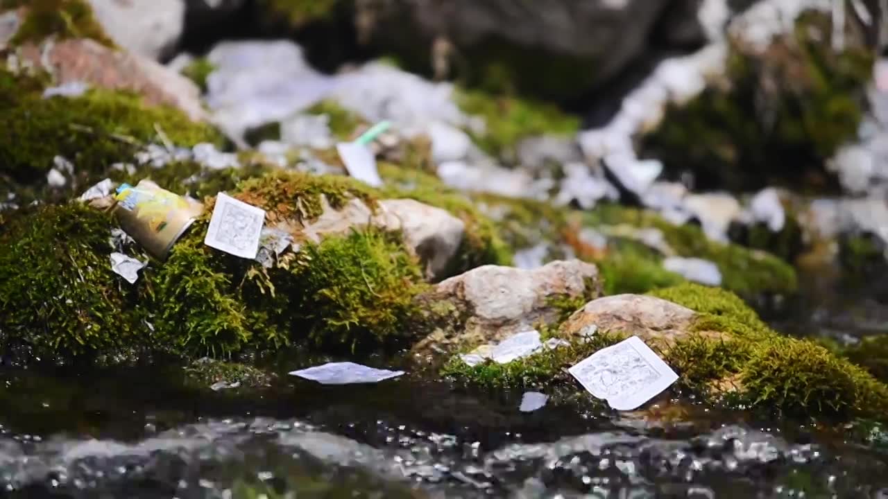 龙达洒落在苔藓的小溪流水中视频素材画面1