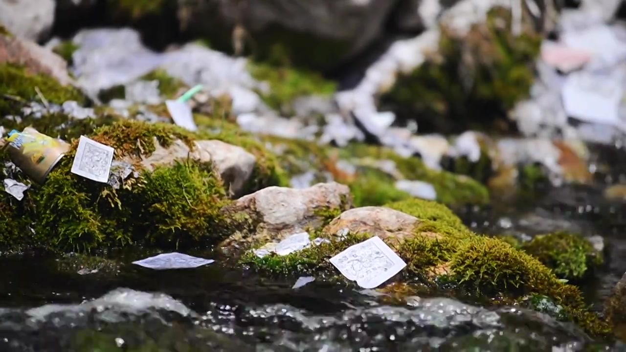 龙达洒落在苔藓的小溪流水中视频素材画面3