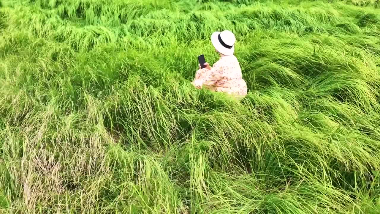 慢镜头升格拍摄江西鄱阳湖草海中的少女背影视频素材