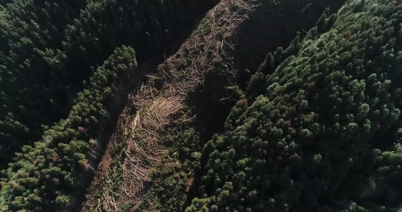 航拍大山林场视频素材