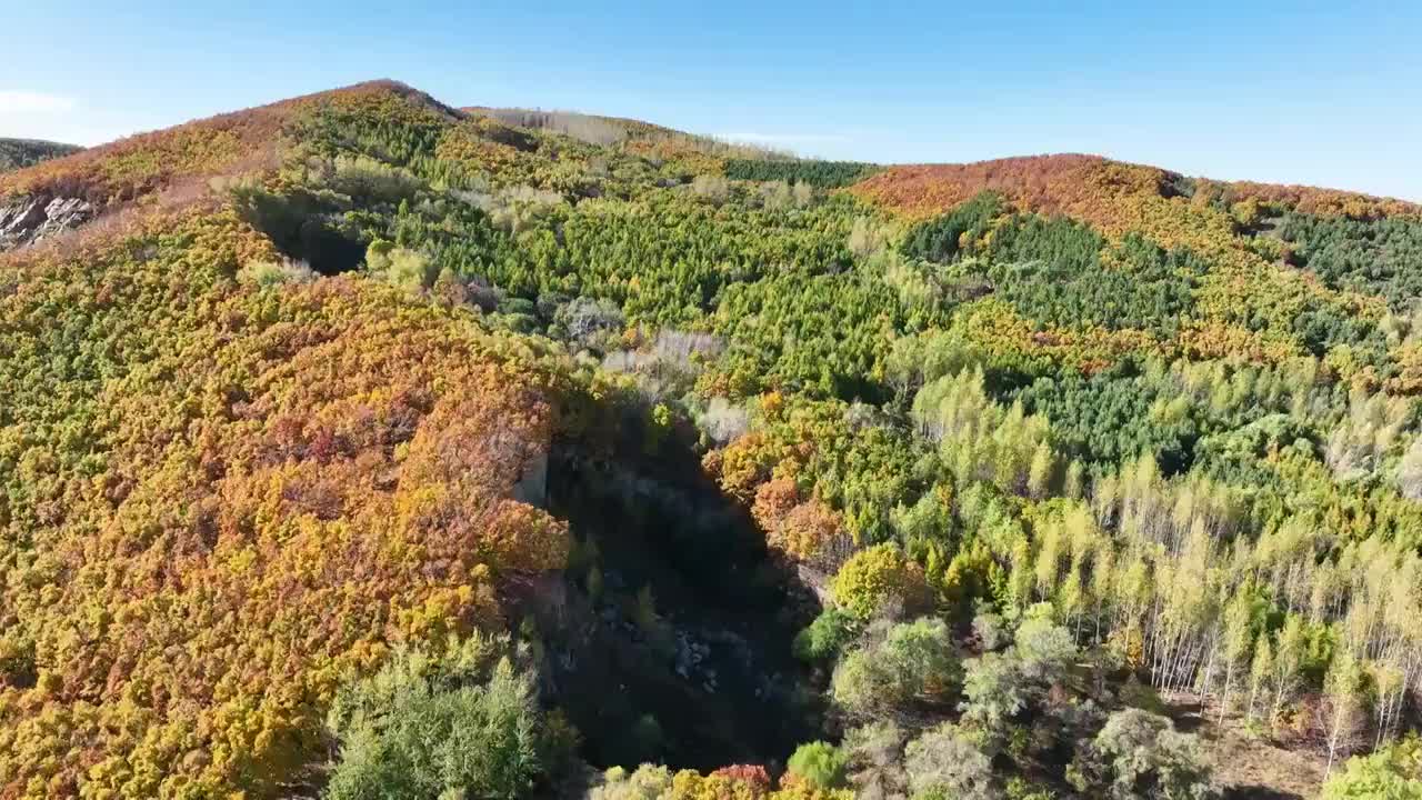 航拍秋季完达山视频素材