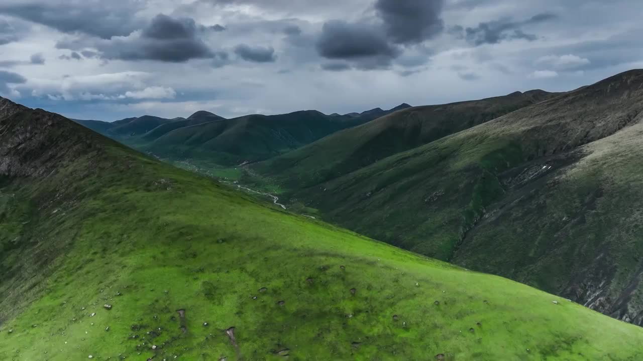 莲宝叶则的高山草甸视频素材