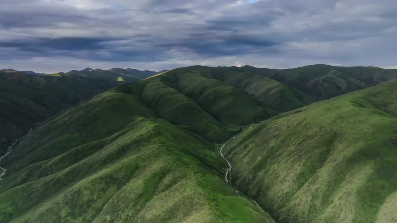 莲宝叶则的高山草甸视频素材