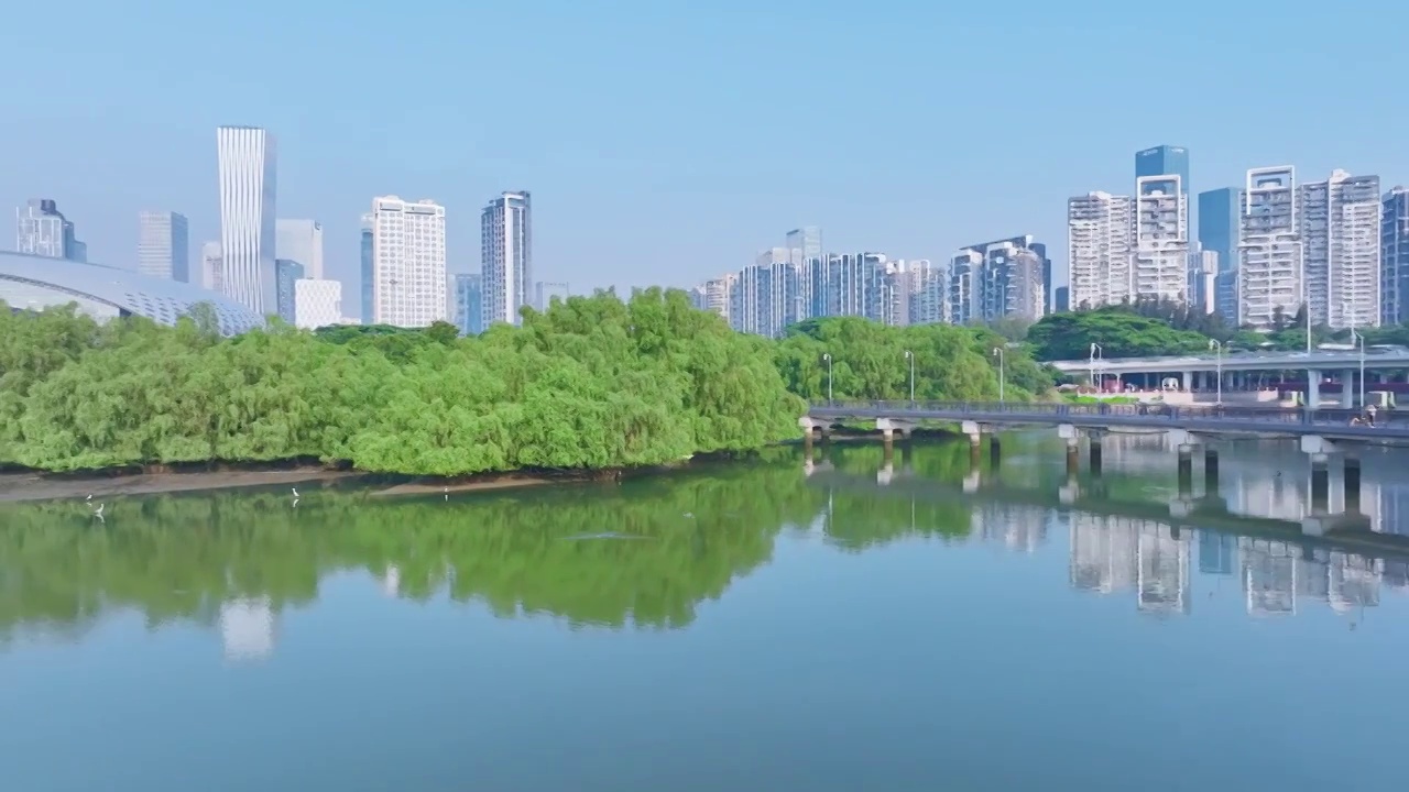 深圳湾南山CBD建筑群海面倒影视频素材