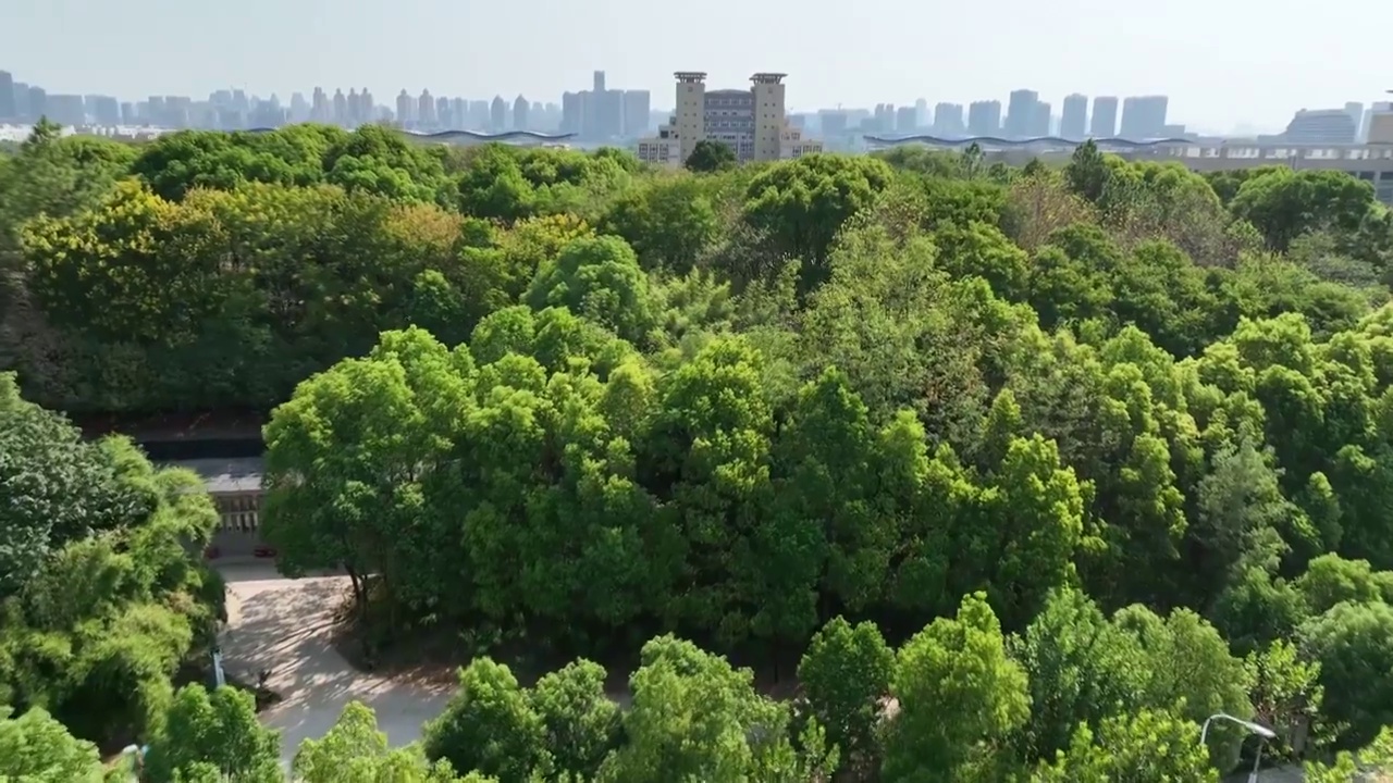 航拍武汉江汉大学建筑几何学校教育城市风光视频素材