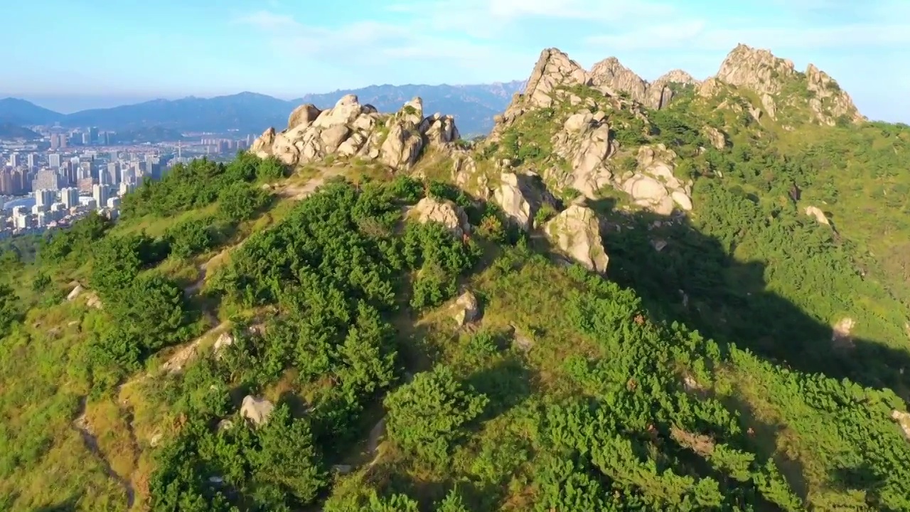 山东青岛浮山生态视频素材