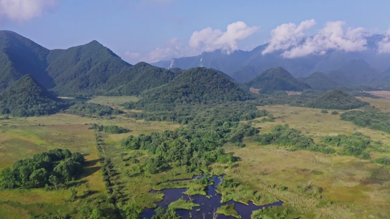 大九湖，夏天的神农架，神农架大九湖的风景，夏天的湖泊，水天一色的风景视频素材