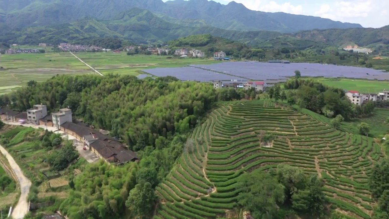 茶园和太阳能光伏发电站视频素材