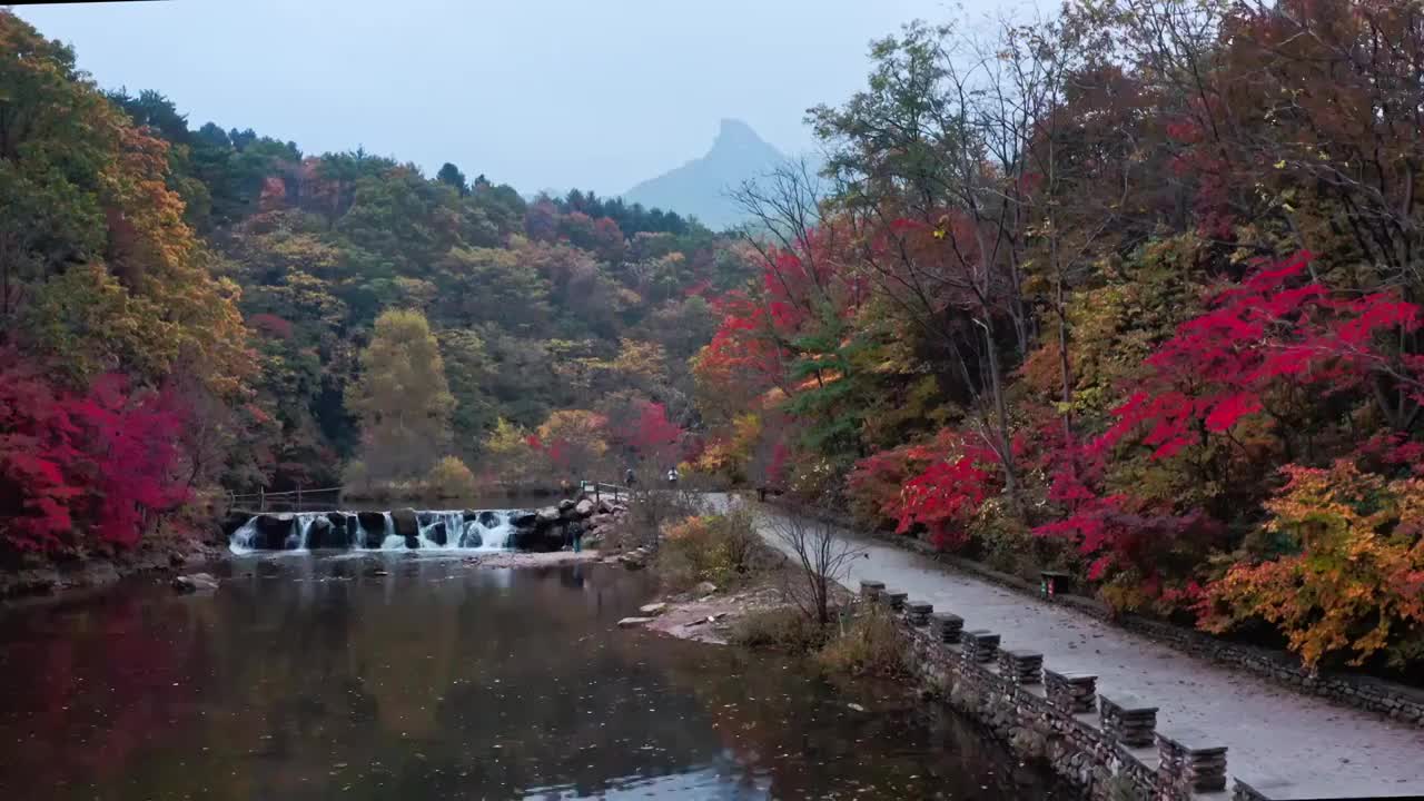 大石湖的秋天，本溪大石湖景区，东北的秋天，红叶与水的自然画卷视频素材