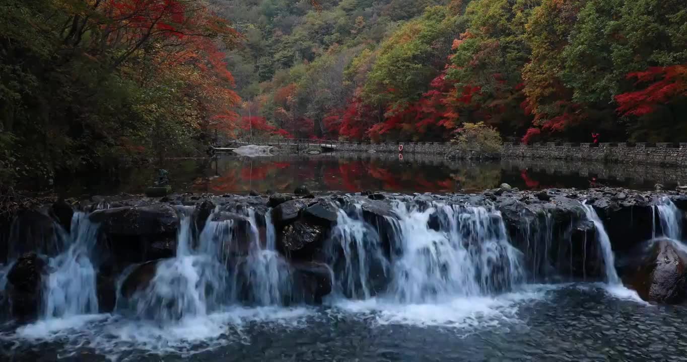 大石湖的秋天，大石湖的小溪与红叶，本溪的枫叶，本溪的红叶，东北的秋天，大石湖景区视频素材