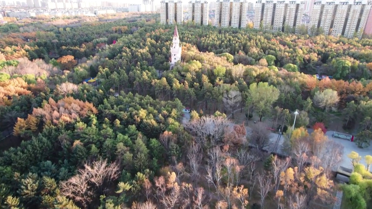 黑龙江省森林植物园秋景航拍视频素材