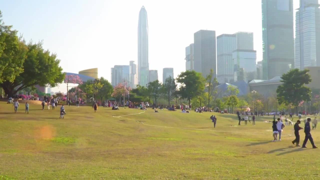 广东 深圳 福田区 市民中心 莲花山公园 日落 空镜 地面视角 实时视频视频素材画面1