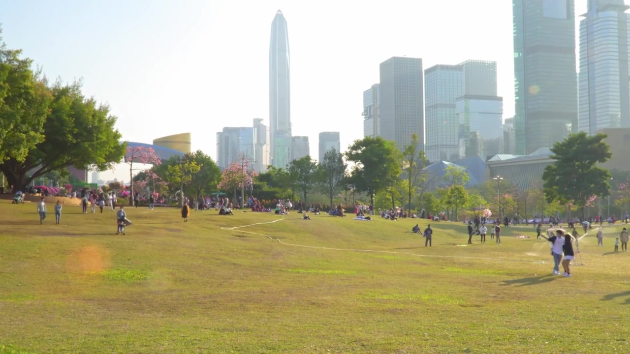 广东 深圳 福田区 市民中心 莲花山公园 日落 空镜 地面视角 实时视频视频素材画面2