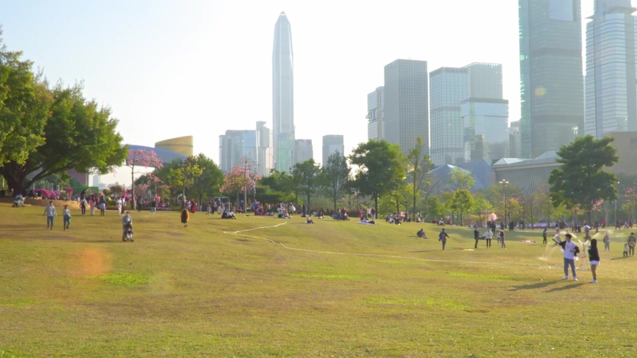 广东 深圳 福田区 市民中心 莲花山公园 日落 空镜 地面视角 实时视频视频素材画面3