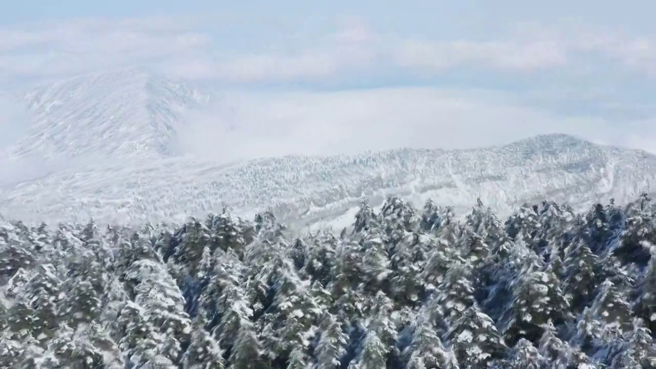 航拍冬天清晨的峨眉山金顶雪景，及四面佛十方普贤菩萨铜像视频素材