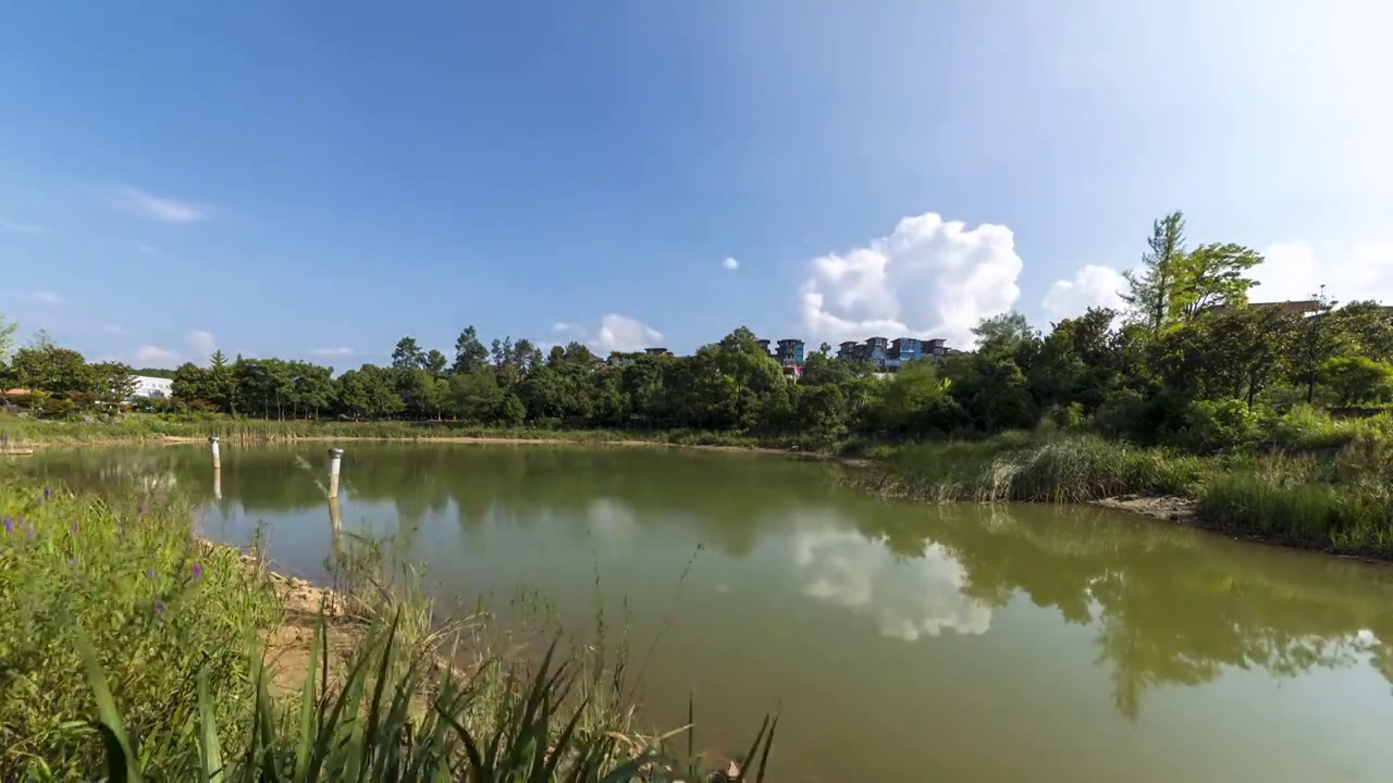 龙里县白晶谷湿地公园延时摄影视频素材