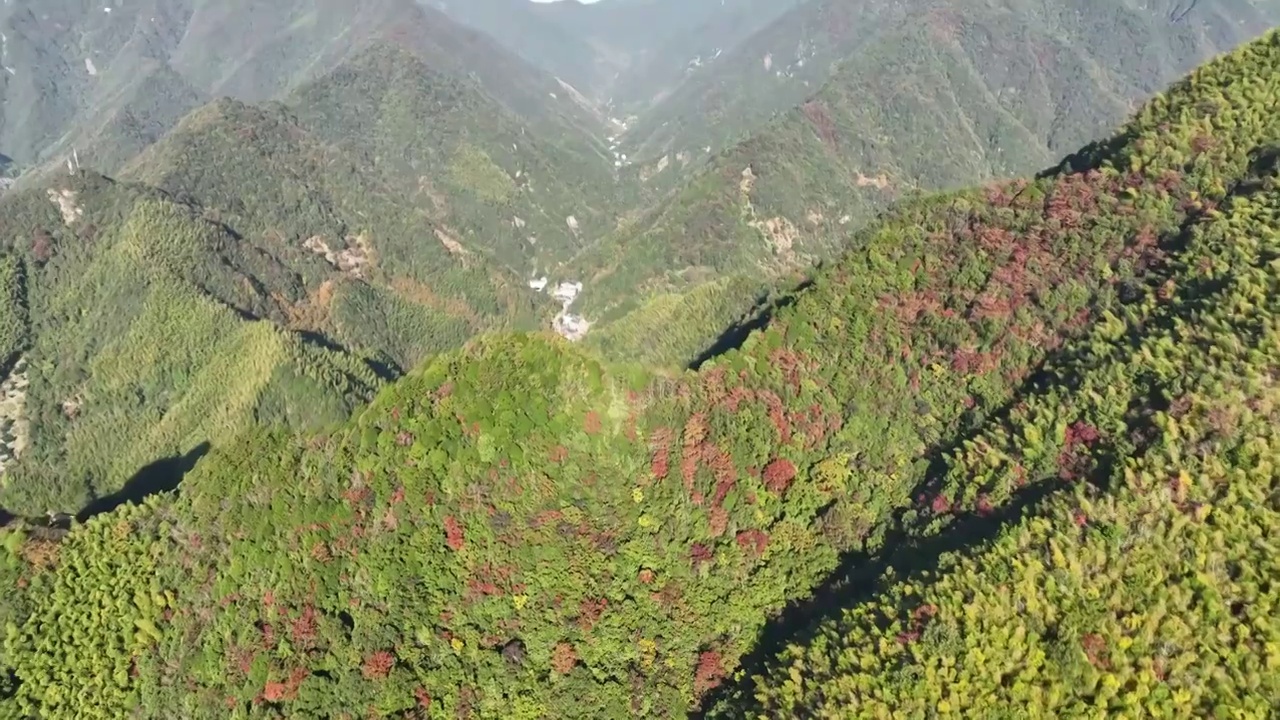 杭州：临安指南山秋色视频素材