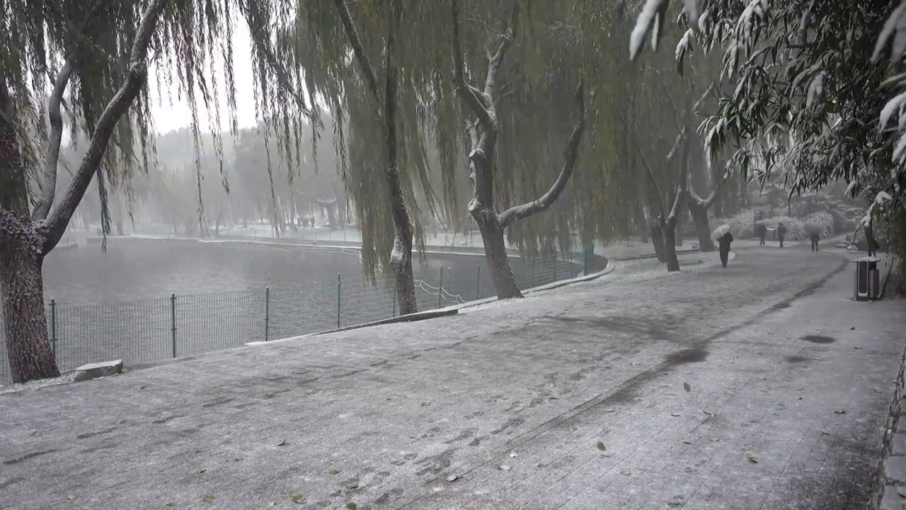 大雪纷飞在京城陶然亭公园视频素材