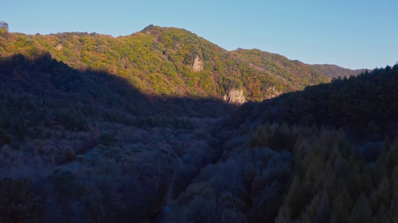 霜降，峡谷中森林的霜，霜降的清晨视频素材