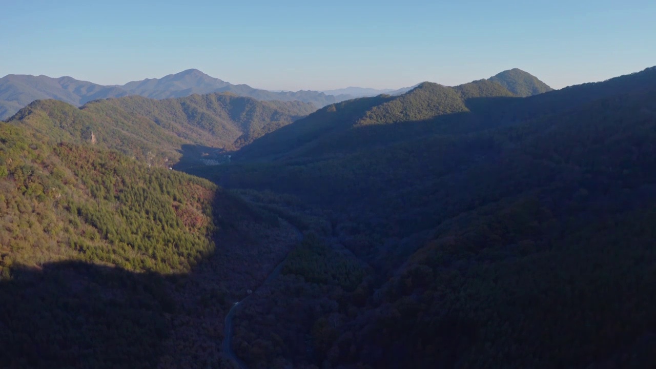 霜降，峡谷中森林的霜，霜降的清晨视频素材