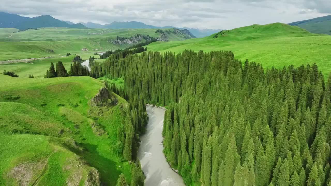 草原森林河流风景航拍视频素材