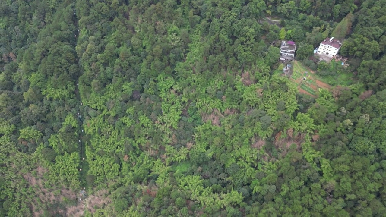 重庆北碚缙云山森林植被下沉镜头航拍视频素材