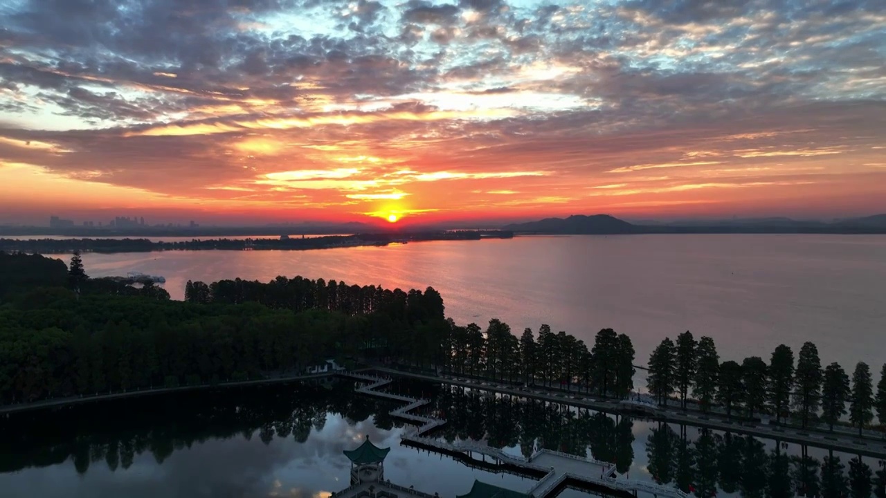 武汉东湖湿地生态碧潭观鱼日出视频下载