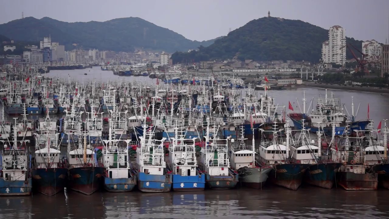 浙江舟山渔港视频素材