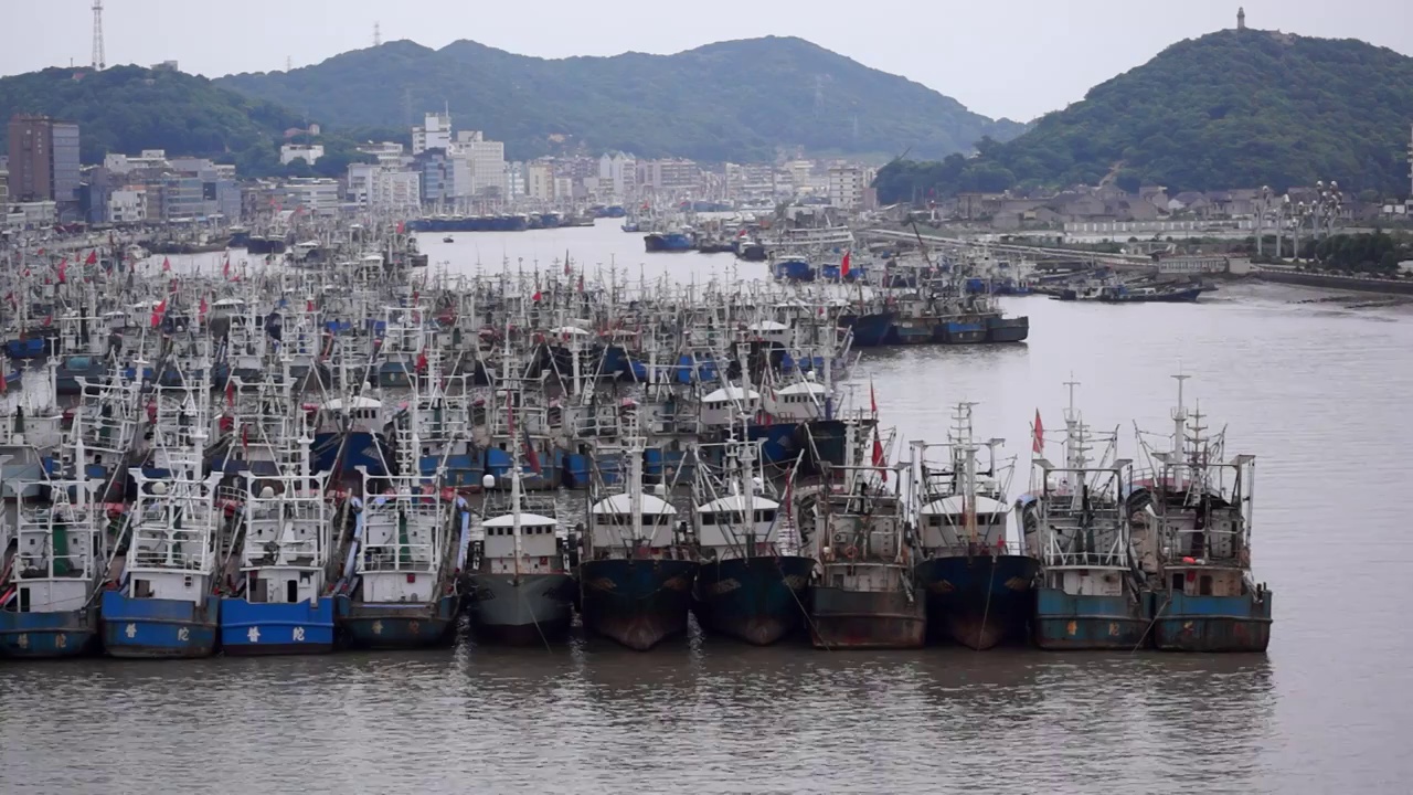 浙江舟山渔港视频素材